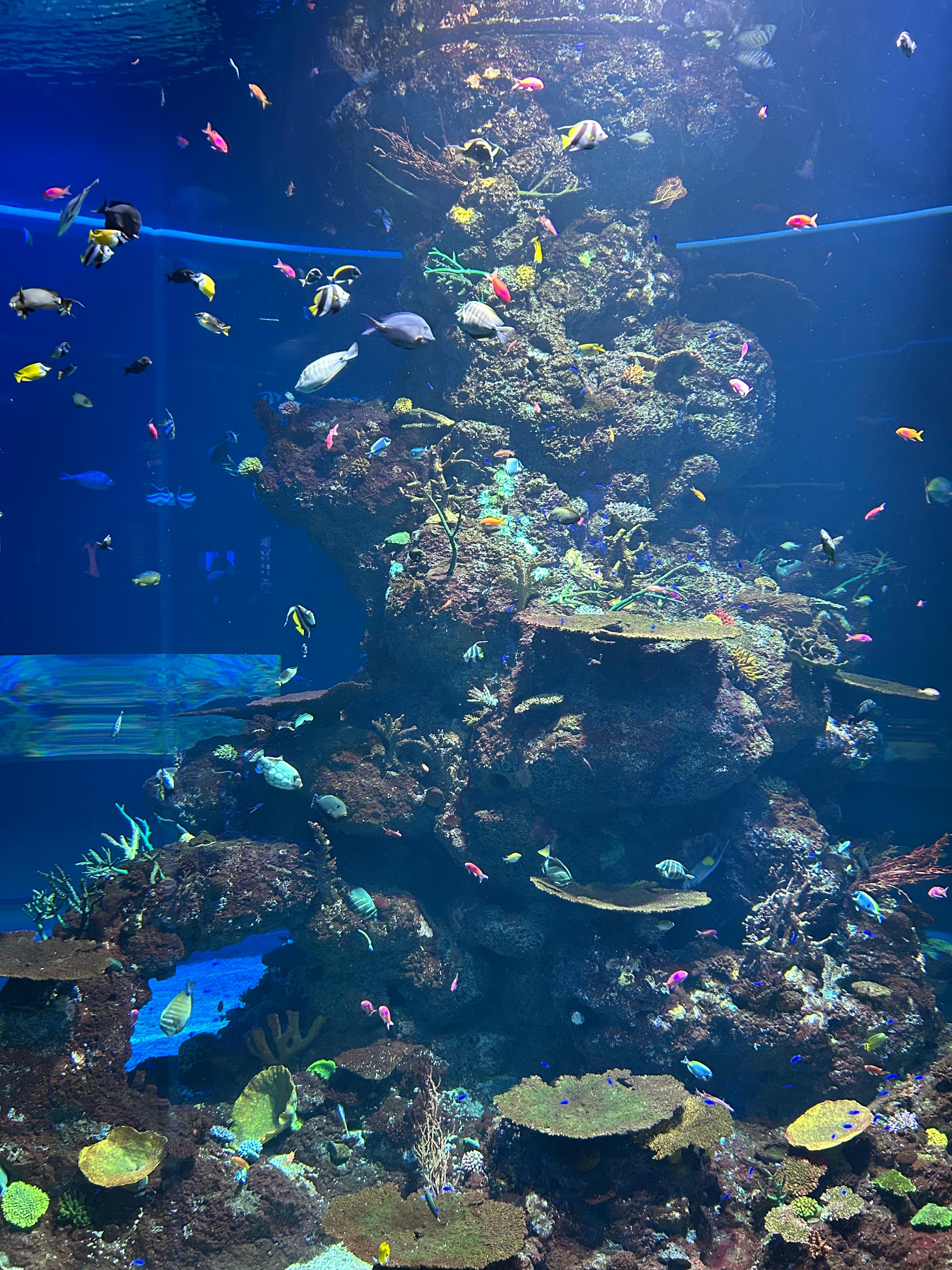 Silhouettes of visitors sitting in awe in front of the illuminated tank
